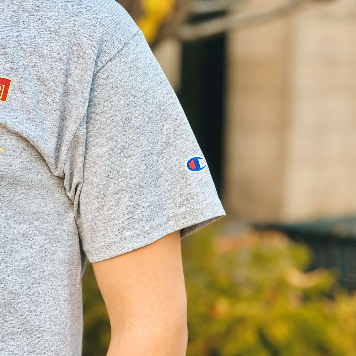 Champion® College of Health and Human Sciences I-State Gray T-Shirt